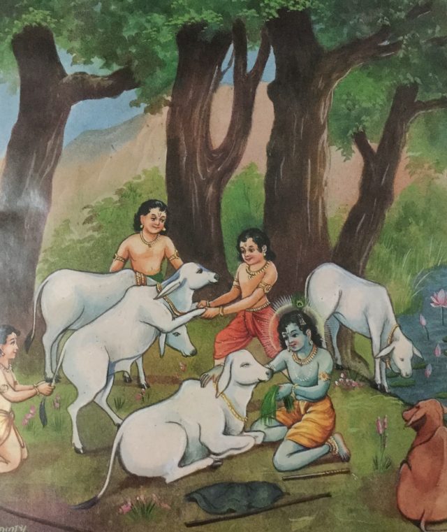 krishna and his cows
