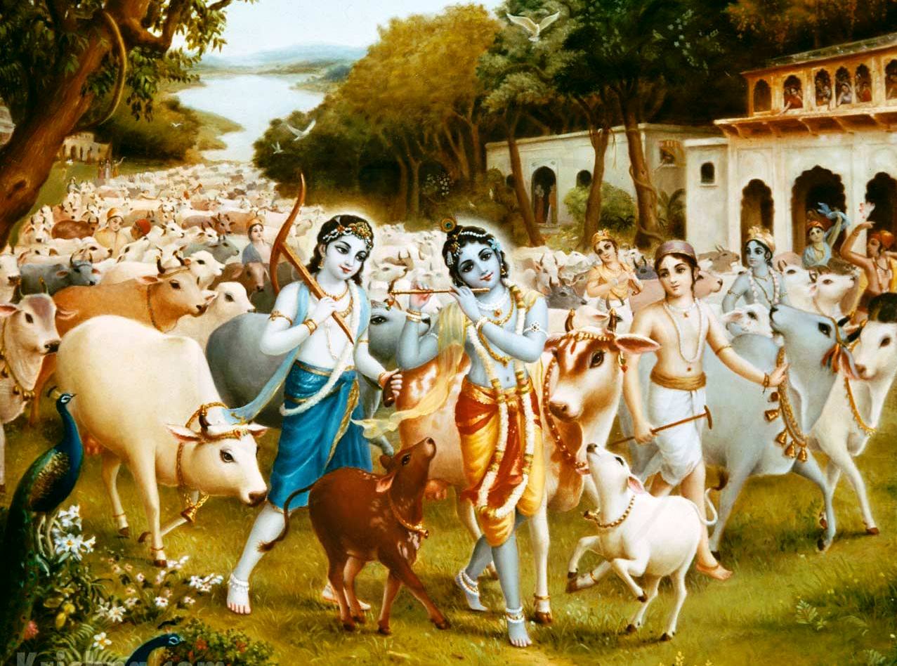 Krishna, Balaram tend the cows