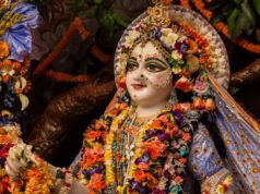 shri radha rani darshan