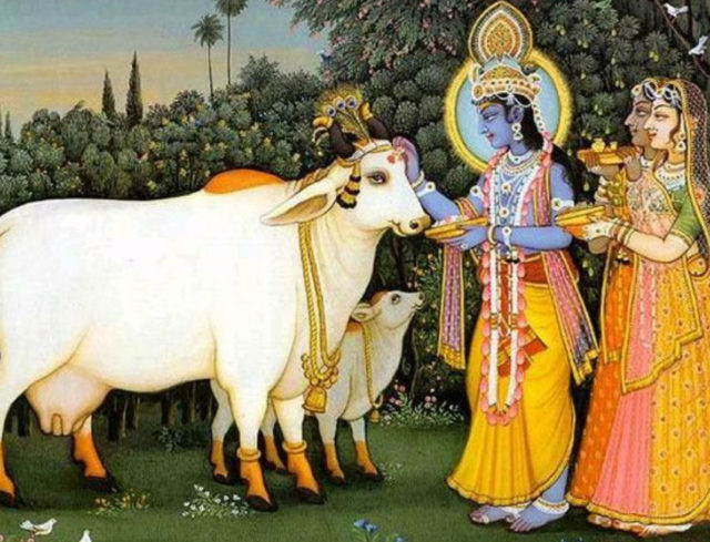 krishna bhagwan cow gau mata